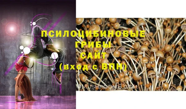 метадон Аркадак