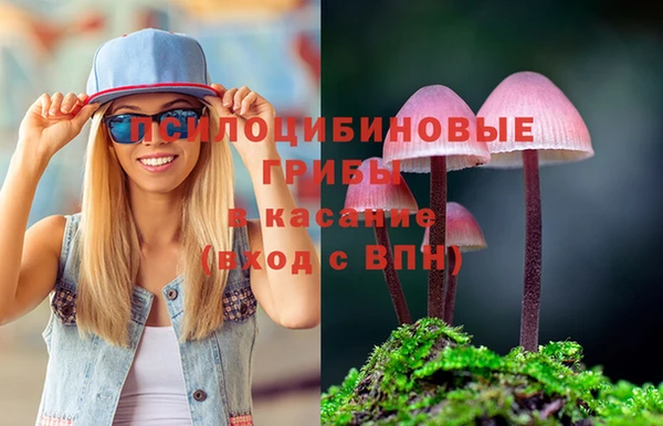 метадон Аркадак