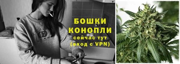 винт Арсеньев