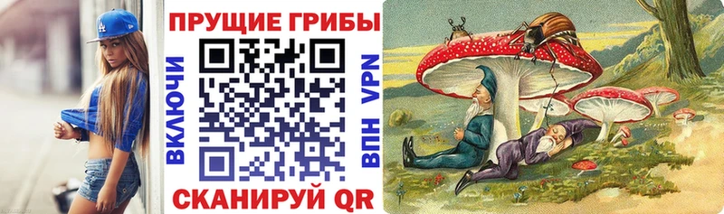 Псилоцибиновые грибы мухоморы  kraken ССЫЛКА  Борзя 